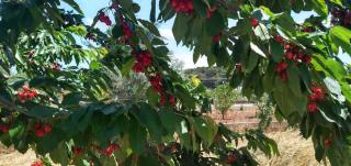 I trulli di Mani' - 2