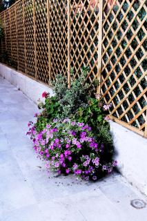 La Villa bed & breakfast - 4