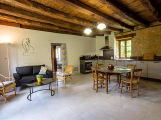 Maison Périgourdine restaurée, 2 chambres, terrasse privée, proche Sarlat, animaux acceptés - FR-1-616-187 - Borrèze - 7
