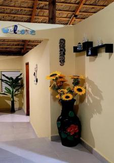 La Casita de Mary - Santa Cruz de Barahona - 5
