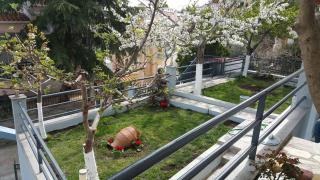 HOPE HOUSE - 5