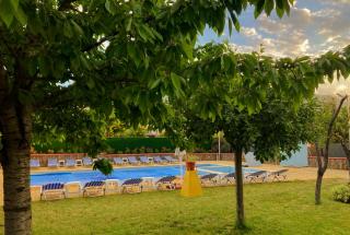 Guest House Bache Todor - Dobrinishte - 6