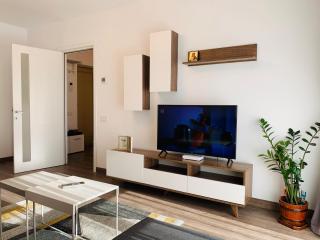 Newton luxury apartment - Iaşi - 8