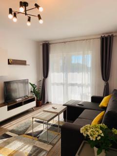 Newton luxury apartment - Iaşi - 3