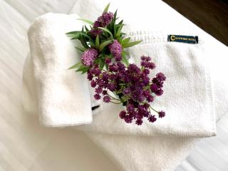 C Hotel Boutique and Comfort - Chiang Mai - 7