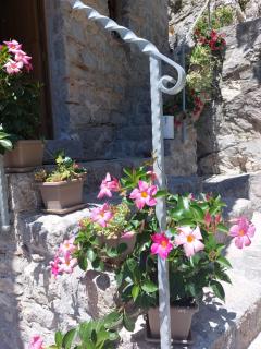 B&B CasaCaselle - Caselle in Pittari - 4