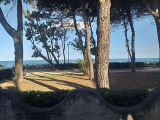 Room in BB - Spacious double room beside the sea - Pineto - 6