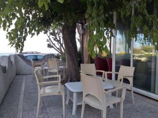 Room in BB - Spacious double room beside the sea - Pineto - 3