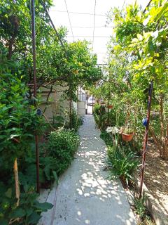 Apartment 70 m from the beach - Podgora - 8
