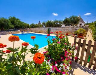 Il Trullo Pellegrini - 0