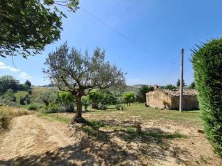 La Casetta in Collina - a pochi Km dal mare (Pe) - Spoltore - 6