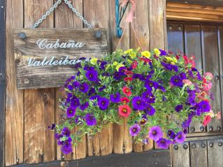 El Rincon del Cerrillo - 7