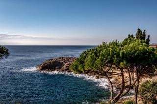 Eden Roc Hotel & Spa by Brava Hoteles - Sant Feliu de Guíxols - 9