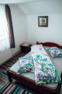 Casa Ianis - Arieşeni - 3