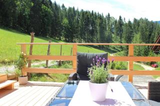 Villa Bischofsberg - Lärchen-Wellness Apartment - Windischgarsten - 1