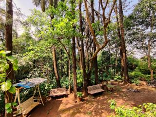 Hotel Mount View Heritage - Panchgani - 9