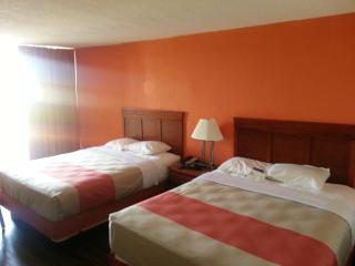 Motel 6 Jackson, TN - Jackson - 9