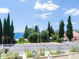 Apartments Villa Silvana - Mlini - 6