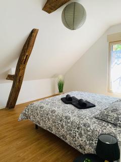 Centre ville (2): superbe appartement climatisé - La Flèche - 5