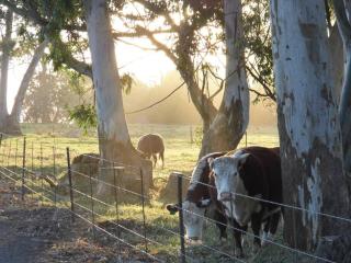 Cedarwood Guest House - 5