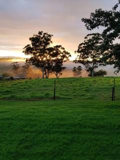 Cedarwood Guest House - 1