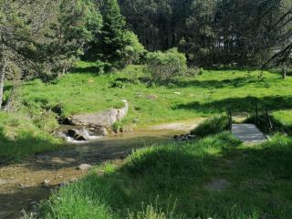 Le Ranch du Madres - Roquefort-de-Sault - 1