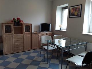Góry Sowie - Apartament na parterze z parkingiem - Pieszyce - 8