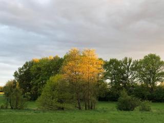 Ferienwohnung Mester - Osterrönfeld - 6