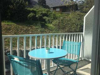 Joli petit studio au bord du lac - 7