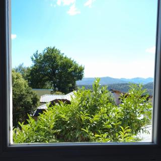 El Limón del Bolsón - 1