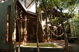 OJO DE ÁRBOL, boutique cabin in the real jungle - Tulum - 4
