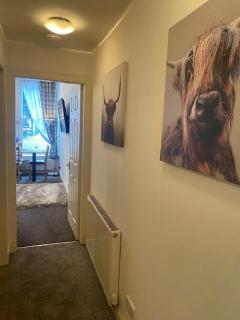 City Lights Apartment - Edinburgh - 5