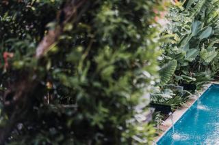 Kharista Villas & Retreat by Ekosistem - Canggu - 1