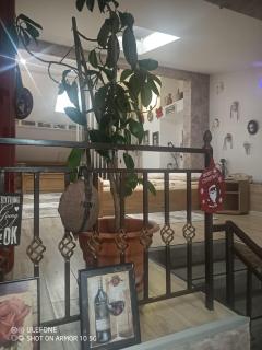 Casa Lucescu - Vatra Dornei - 6