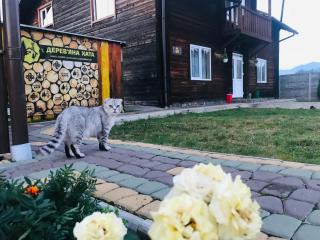 садиба Дерев*яна Хата - Verkhovyna - 3
