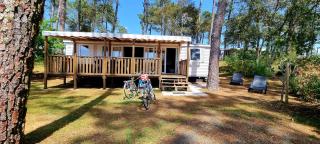Mobil home 3 CH 2 SDB - Saint-Julien-en-Born - 4