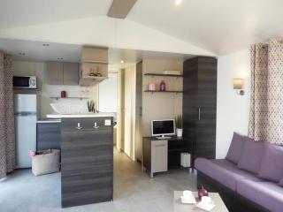 Mobil home 3 CH 2 SDB - Saint-Julien-en-Born - 1