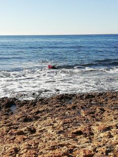 Appartement en résidence privée proche mer - Sausset-les-Pins - 7