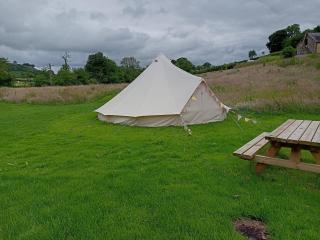 Oak Tree Farm - Llanfynydd - 9