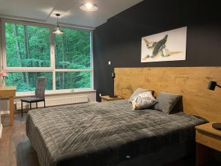 Apartament Kurort Kozubnik - Taras nad Potokiem - 8