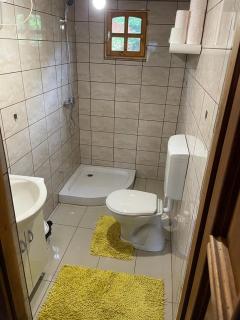 Forest Guest House 2 - Sîntimbru-Băi - 3