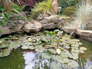 4a Bath Street - Hanmer Springs - 8