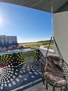 Pensiunea Harmony Băile Felix - 3