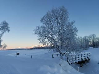 Villmarksgård tømmerstue - 3