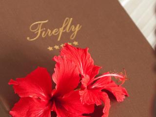 Firefly Estate Bequia - 9