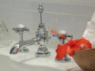 Firefly Estate Bequia - 7