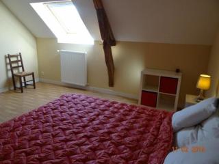 Ferme rénovée avec verger, 7 km du Mans, cheminée, 4 chambres, draps inclus, calme assuré - FR-1-410-251 - La Bazoge - 7