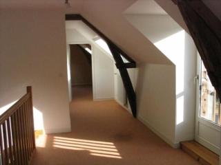 Ferme rénovée avec verger, 7 km du Mans, cheminée, 4 chambres, draps inclus, calme assuré - FR-1-410-251 - La Bazoge - 4