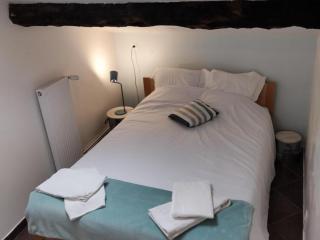 Gîte de Charme avec Spa, Hammam et Vélo Électrique près du Parc du Pilat - FR-1-496-8 - Cellieu - 6