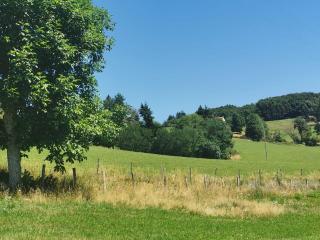 Gîte de charme avec jardin, terrasse et poêle à bois en pleine nature - FR-1-496-250 - Sevelinges - 6